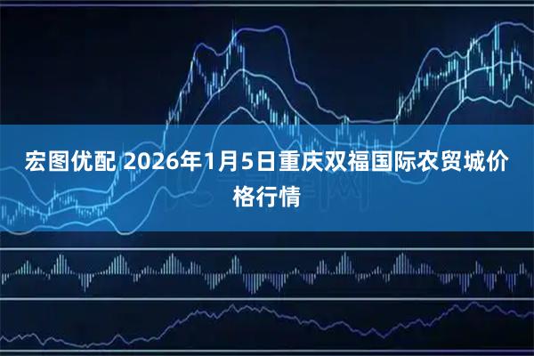 宏图优配 2026年1月5日重庆双福国际农贸城价格行情